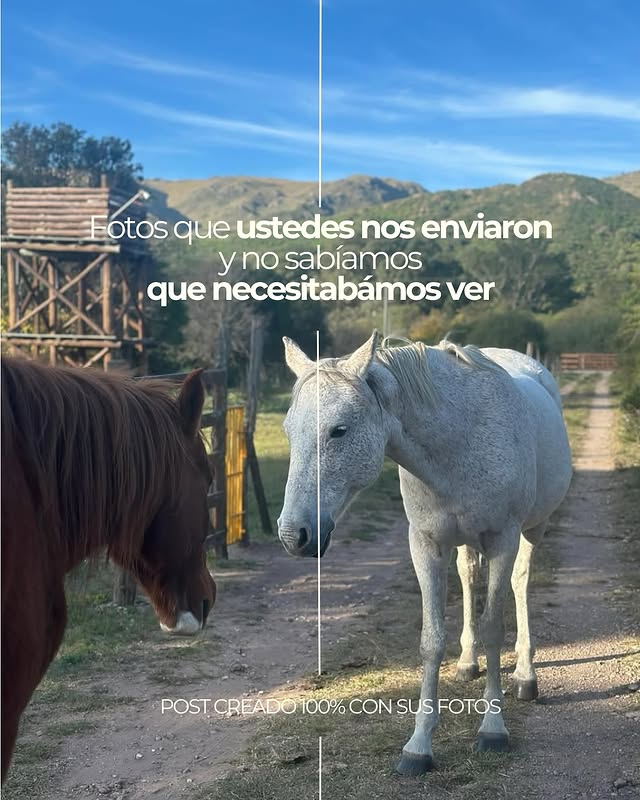Caballos en el entorno natural