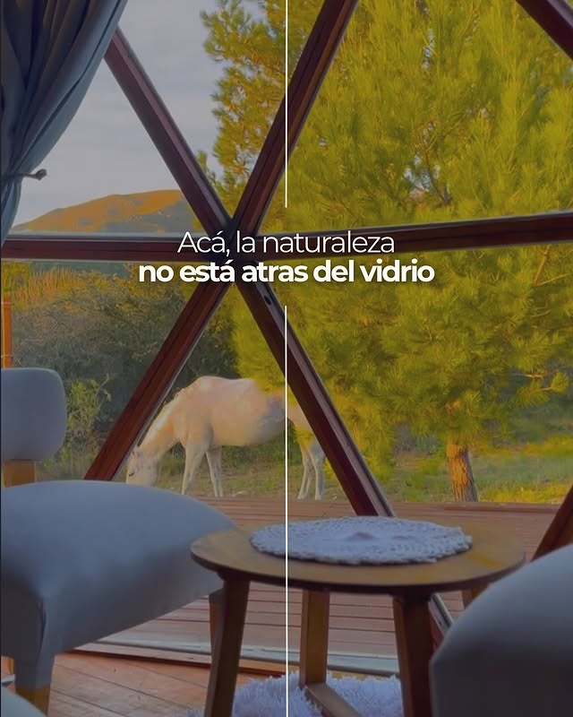 Naturaleza vista desde el domo